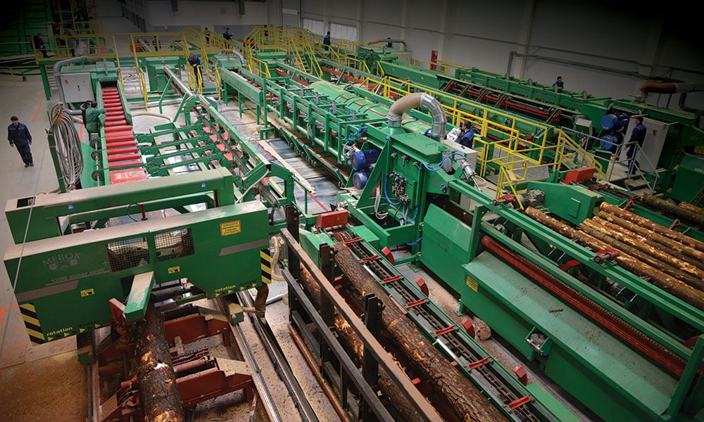 Sawing line in Belarus - One operator sawing line