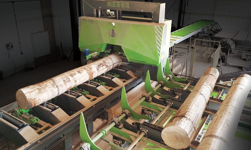 Sawing line in Germany - Sawing line for hardwoods